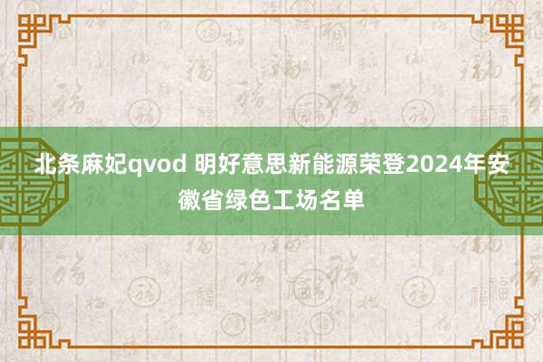 北条麻妃qvod 明好意思新能源荣登2024年安徽省绿色工场名单