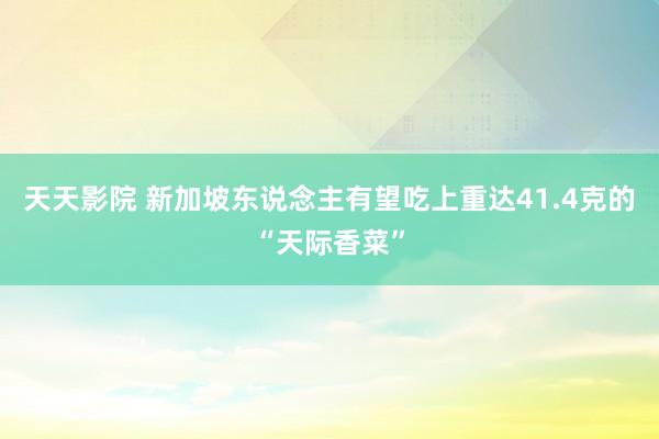 天天影院 新加坡东说念主有望吃上重达41.4克的“天际香菜”