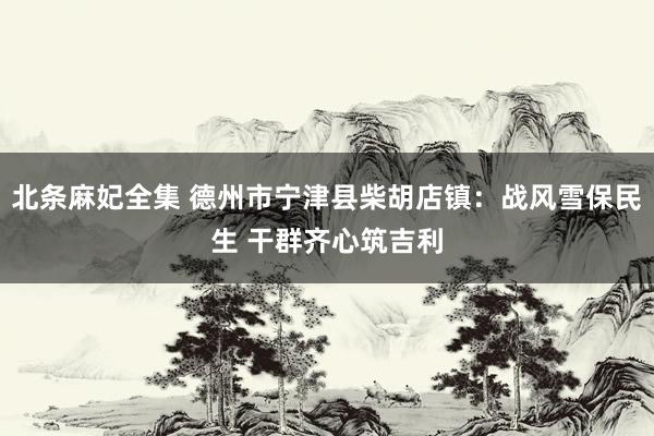 北条麻妃全集 德州市宁津县柴胡店镇：战风雪保民生 干群齐心筑吉利