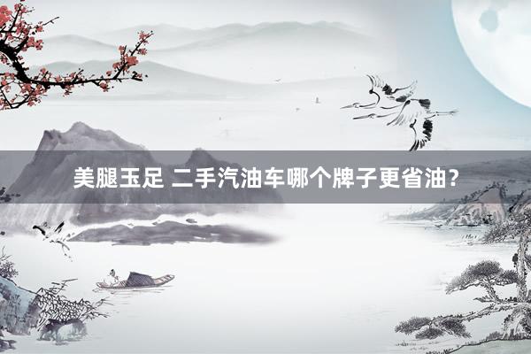 美腿玉足 二手汽油车哪个牌子更省油？