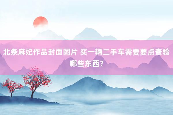 北条麻妃作品封面图片 买一辆二手车需要要点查验哪些东西？
