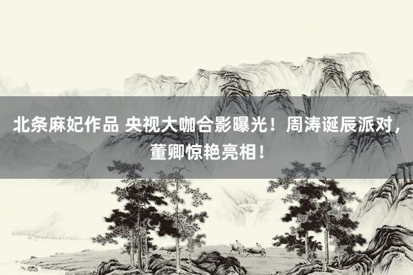北条麻妃作品 央视大咖合影曝光！周涛诞辰派对，董卿惊艳亮相！