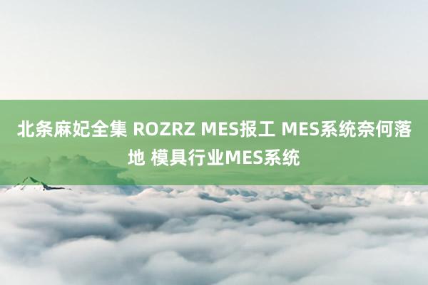 北条麻妃全集 ROZRZ MES报工 MES系统奈何落地 模具行业MES系统