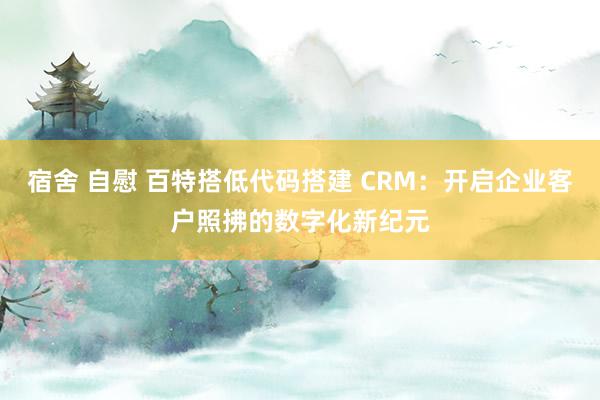 宿舍 自慰 百特搭低代码搭建 CRM：开启企业客户照拂的数字化新纪元