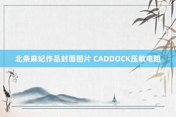 北条麻妃作品封面图片 CADDOCK压敏电阻