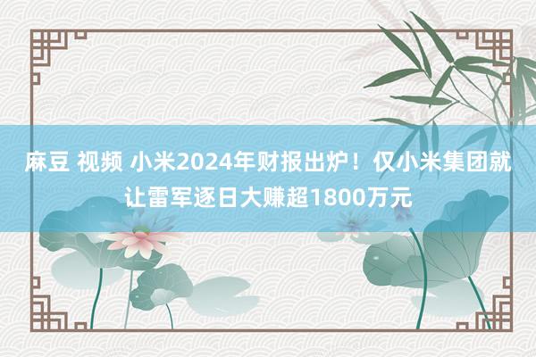 麻豆 视频 小米2024年财报出炉！仅小米集团就让雷军逐日大赚超1800万元