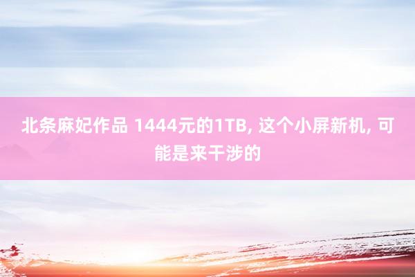北条麻妃作品 1444元的1TB， 这个小屏新机， 可能是来干涉的