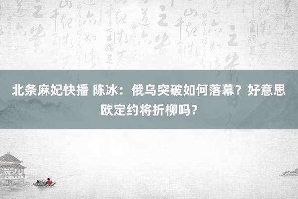 北条麻妃快播 陈冰：俄乌突破如何落幕？好意思欧定约将折柳吗？