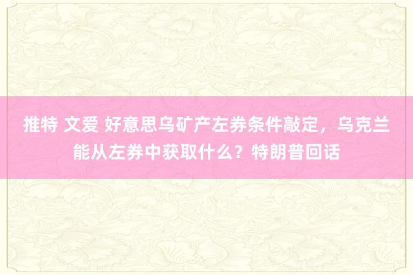 推特 文爱 好意思乌矿产左券条件敲定，乌克兰能从左券中获取什么？特朗普回话